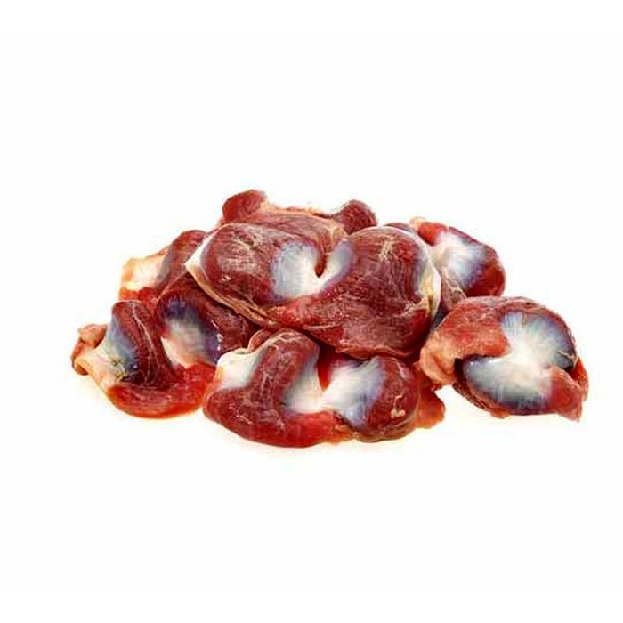 سنگدان